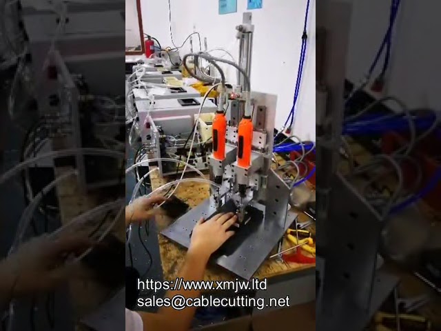 Automatyczna wkrętarka Z-Axis z podajnikiem OEM – precyzyjne wkręcanie śrub