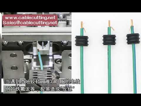 Automatic wire cutting stripping terminal crimping machine with seal inserting function