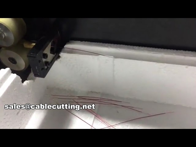 Magnet Wire Cutting Stripping Machine WPM-0525